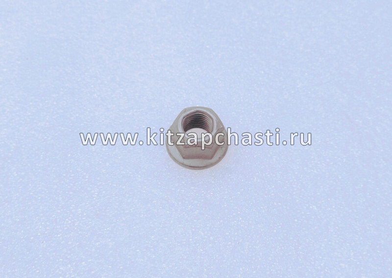 Гайка переднего амортизатора   HAVAL H9  2905107XKV09A